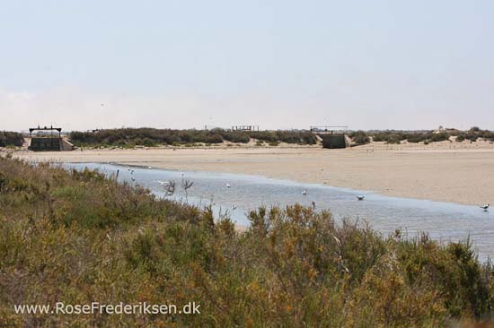 Helle og Søren Rose Frederiksen i Frankrig 2012