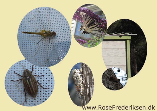 Helle og Søren Rose Frederiksen i Frankrig 2012