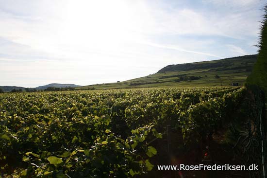 Helle og Søren Rose Frederiksen i Frankrig 2012 Helle og Søren Rose Frederiksen i Frankrig 2012