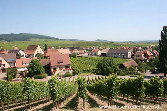 Helle og Søren Rose Frederiksen i Frankrig 2012 Helle og Søren Rose Frederiksen i Frankrig 2012