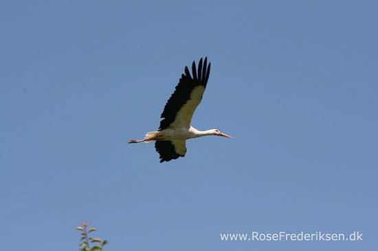 Helle og Søren Rose Frederiksen i Frankrig 2012 Helle og Søren Rose Frederiksen i Frankrig 2012