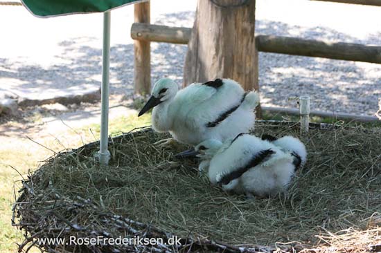 Helle og Søren Rose Frederiksen i Frankrig 2012 Helle og Søren Rose Frederiksen i Frankrig 2012