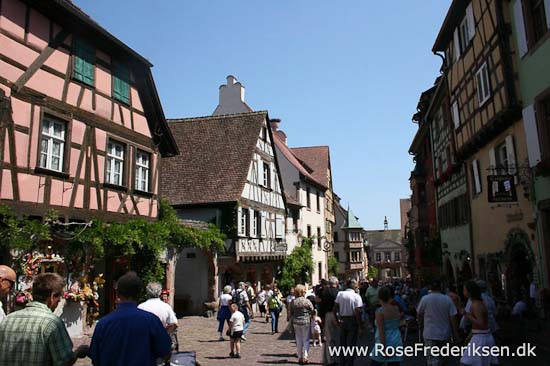 Helle og Søren Rose Frederiksen i Frankrig 2012 Helle og Søren Rose Frederiksen i Frankrig 2012