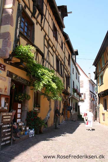 Helle og Søren Rose Frederiksen i Frankrig 2012 Helle og Søren Rose Frederiksen i Frankrig 2012