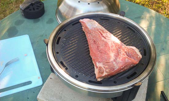 SAfire Nordic Grill