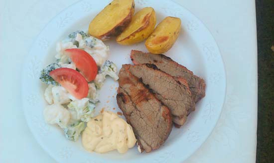 SAfire Nordic Grill