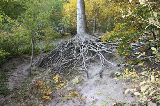 Tour de vandkants Danmark - Efterårsferie i Danmark Tour det Feddet - Efterårsferie i Danmark