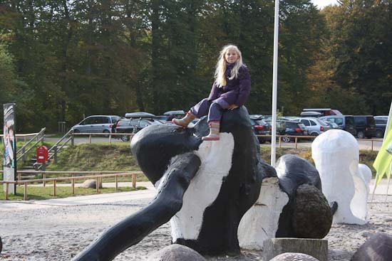 Tour de vandkants Danmark - Efterårsferie i Danmark Tour det Feddet - Efterårsferie i Danmark