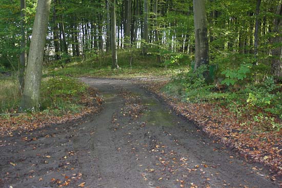 Tour de vandkants Danmark - Efterårsferie i Danmark Tour det Feddet - Efterårsferie i Danmark
