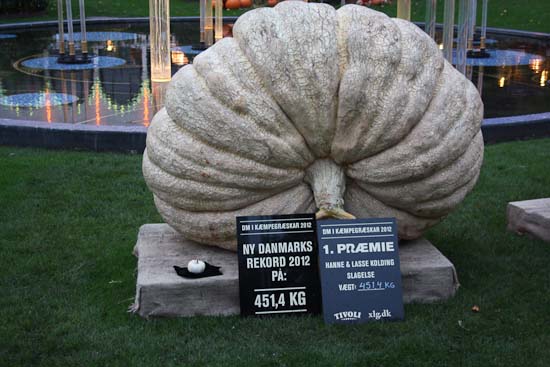 Tour de vandkants Danmark - Efterårsferie i Danmark Tour det Feddet - Efterårsferie i Danmark