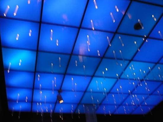 På oplevelsestur til Nordkapp