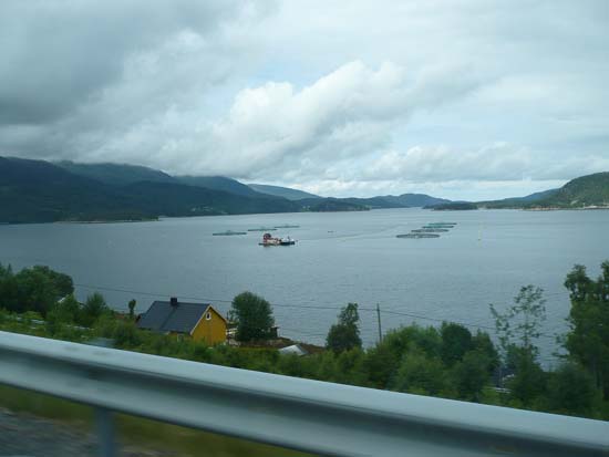 Et af mange laksebrug vi så på vores vej