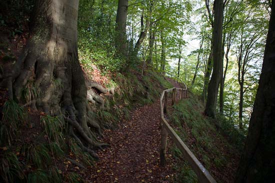 Vi holder meget af egnen omkring Frigård Camping og tur langs Gendamstien er en fast tilbagevendende begivenhed