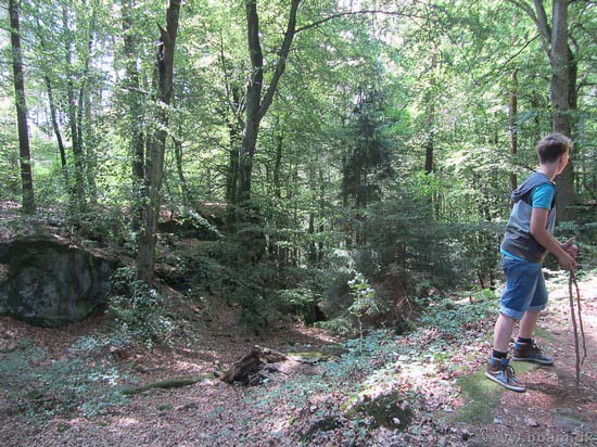 Fam. Jensens Sommertur 2013 til Tyskland og Luxemburg