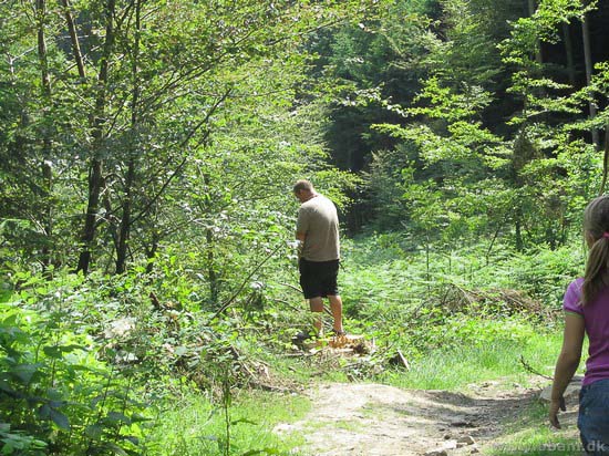 Fam. Jensens Sommertur 2013 til Tyskland og Luxemburg