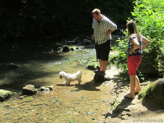 Fam. Jensens Sommertur 2013 til Tyskland og Luxemburg