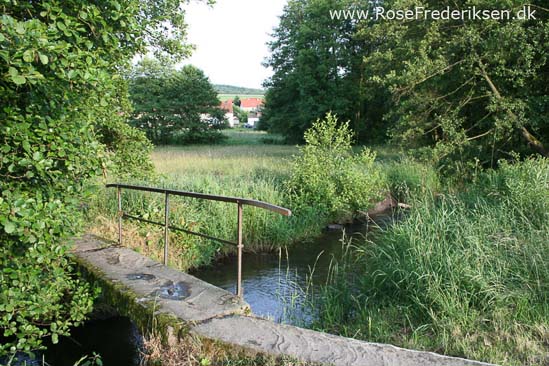 Fam. Rose Frederiksens alpetur 2013