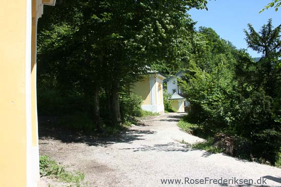 Fam. Rose Frederiksens alpetur 2013