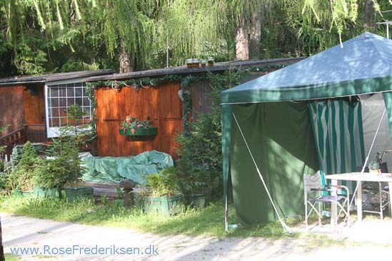 Rose Frederiksen Alpetur 2013