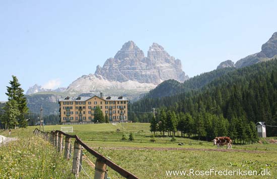 Rose Frederiksen Alpetur 2013