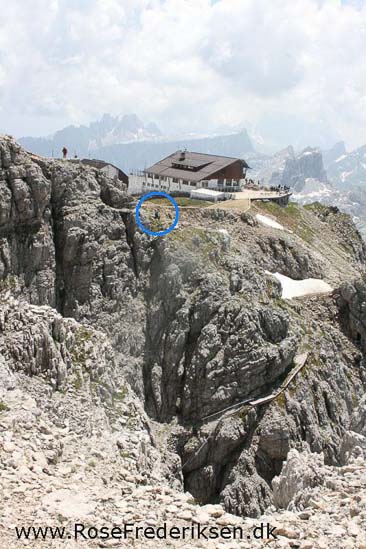 Rose Frederiksen Alpetur 2013