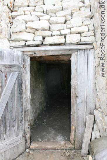 Rose Frederiksen Alpetur 2013