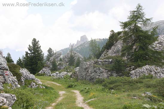 Rose Frederiksen Alpetur 2013