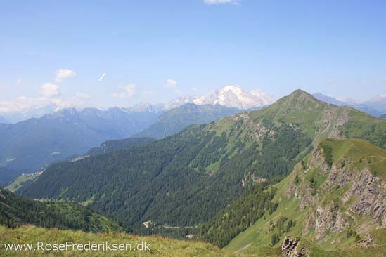 Rose Frederiksen Alpetur 2013