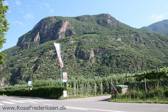 Rose Frederiksen Alpetur 2013