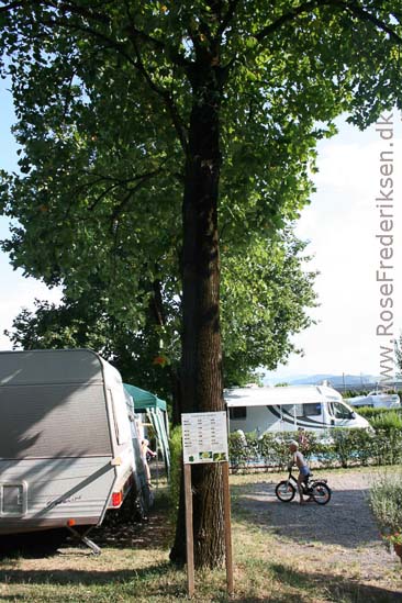 Rose Frederiksen Alpetur 2013