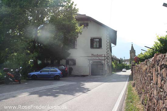 Rose Frederiksen Alpetur 2013