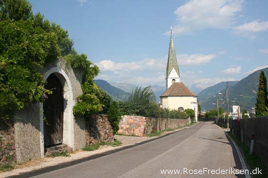 Rose Frederiksen Alpetur 2013