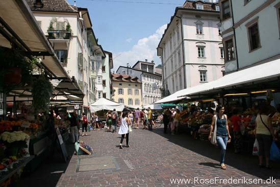 Rose Frederiksen Alpetur 2013