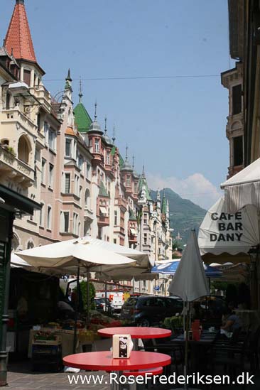 Rose Frederiksen Alpetur 2013