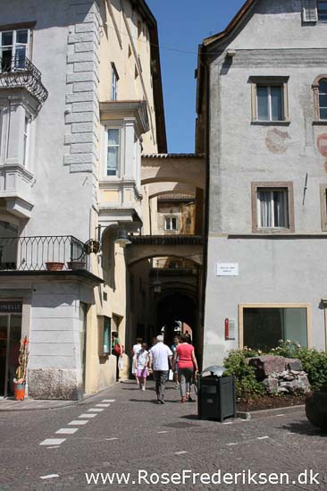 Rose Frederiksen Alpetur 2013