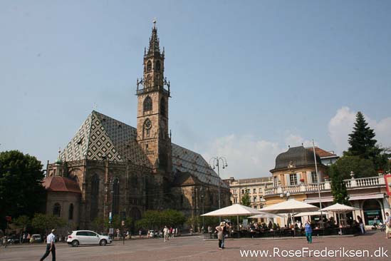 Rose Frederiksen Alpetur 2013