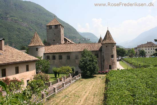 Rose Frederiksen Alpetur 2013