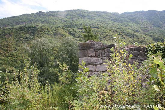 Rose Frederiksen Alpetur 2013