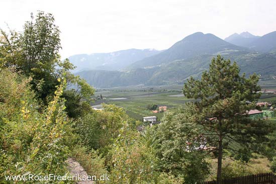 Rose Frederiksen Alpetur 2013