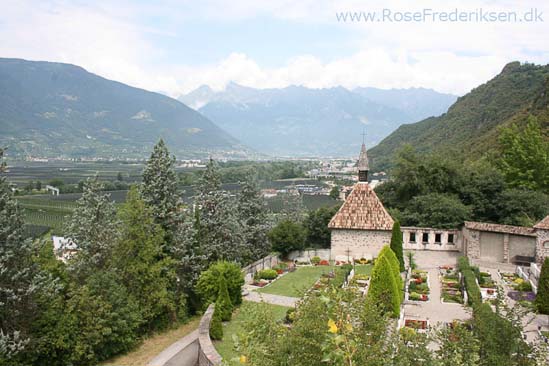 Rose Frederiksen Alpetur 2013