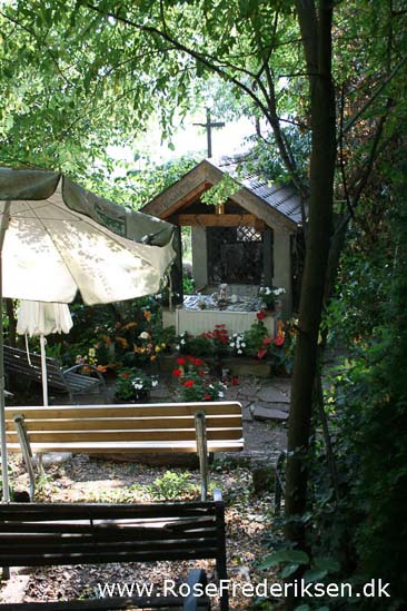 Rose Frederiksen Alpetur 2013