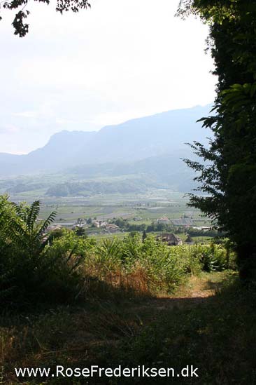 Rose Frederiksen Alpetur 2013