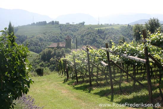 Rose Frederiksen Alpetur 2013