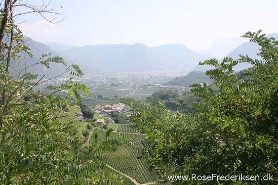 Rose Frederiksen Alpetur 2013