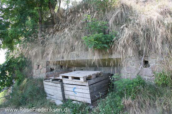 Rose Frederiksen Alpetur 2013