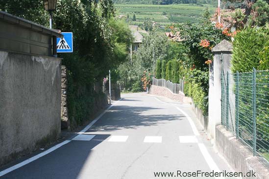 Rose Frederiksen Alpetur 2013