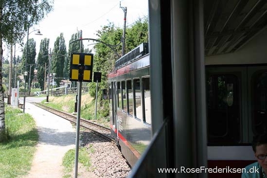 Rose Frederiksen Alpetur 2013