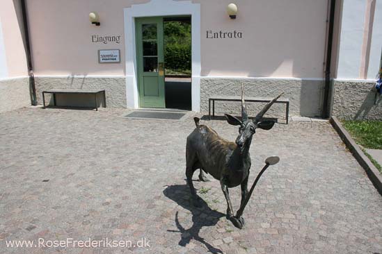 Rose Frederiksen Alpetur 2013