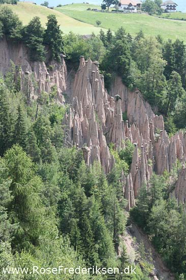 Rose Frederiksen Alpetur 2013