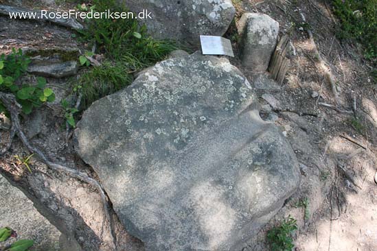 Rose Frederiksen Alpetur 2013